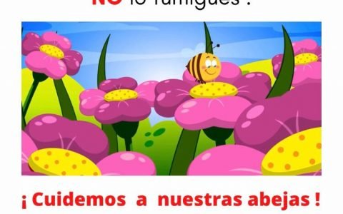 La importancia de cuidar a las abejas 